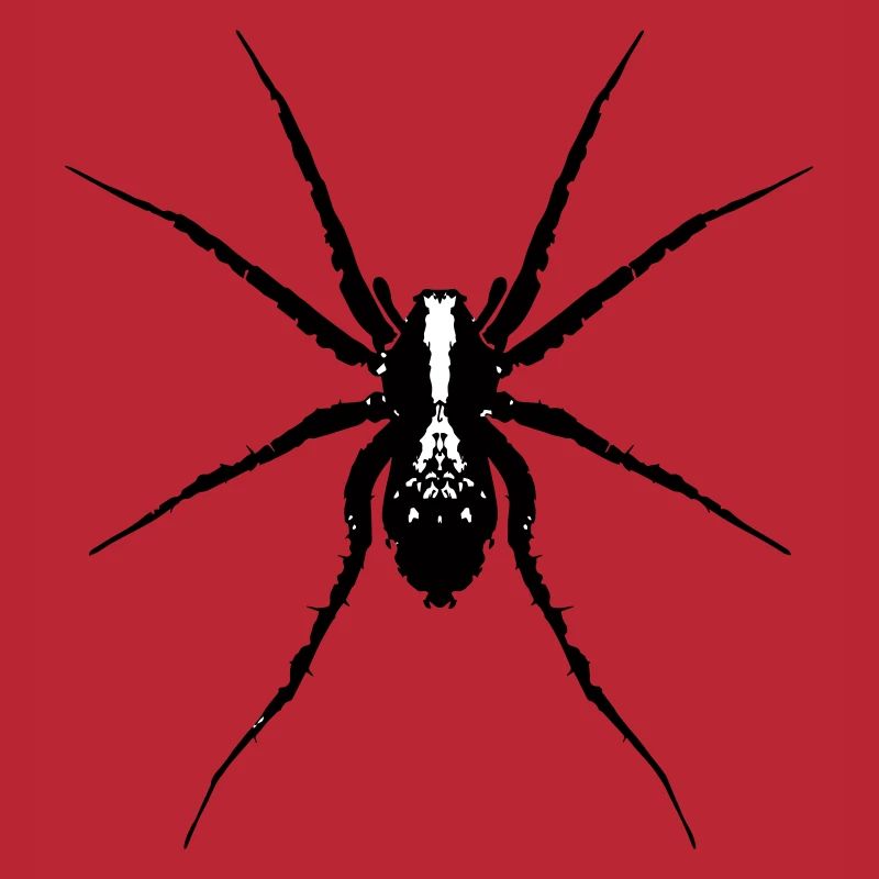 Spinne / Wolfsspinne