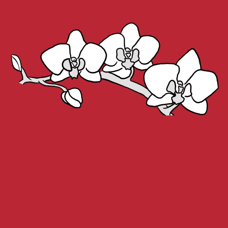 Orchidee