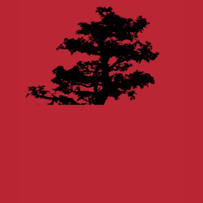 Bonsai