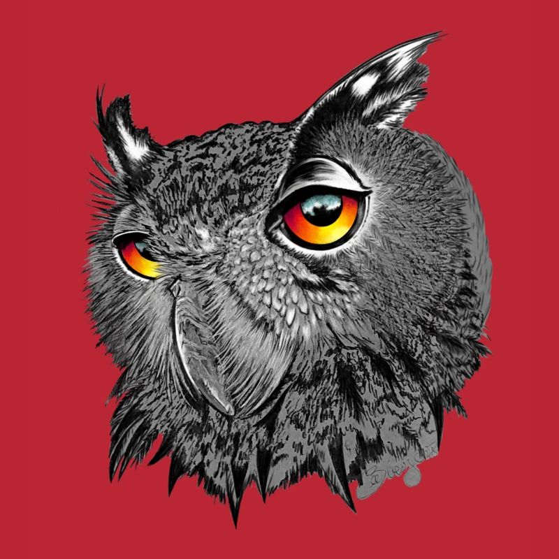 Uhu/Bubo Bubo/Hibou
