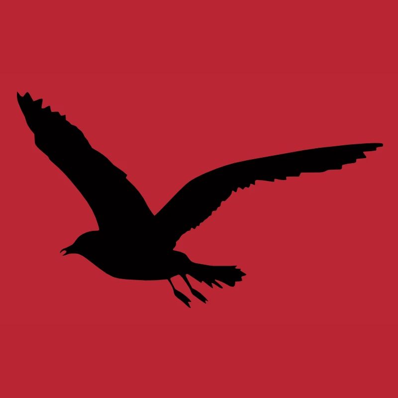 Möwe