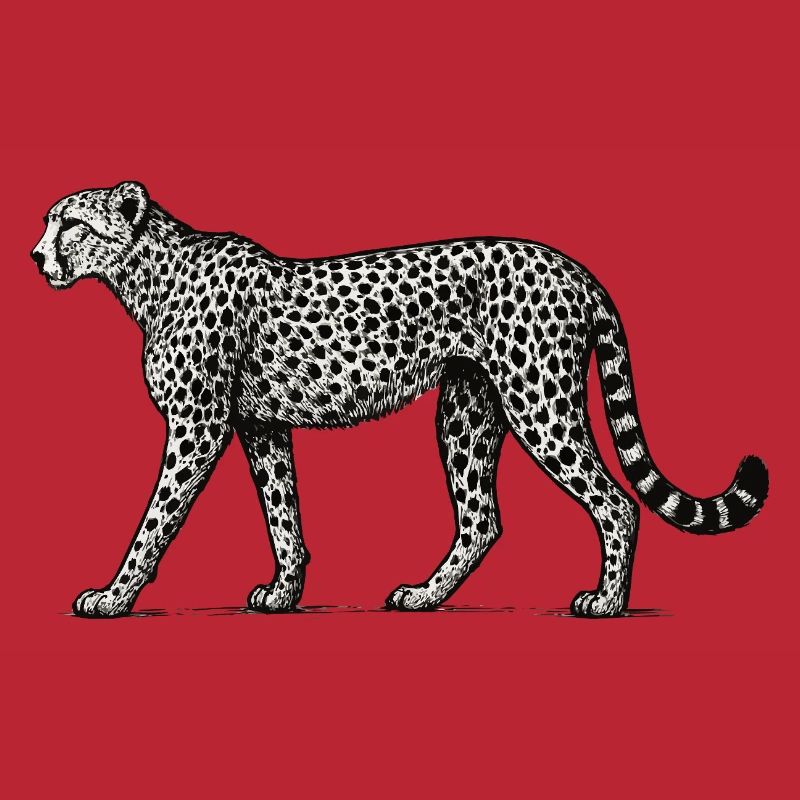 Black and White Leopard Pattern