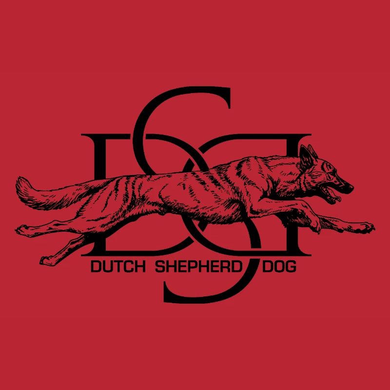 Dutchie - Holländischer Schäferhund