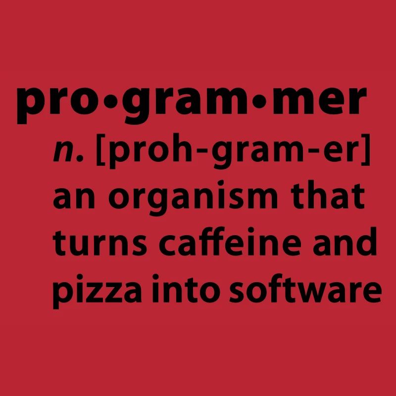 Programmer Wörterbuchdefinition