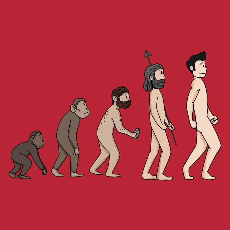 Human Development - Evolution Illustration