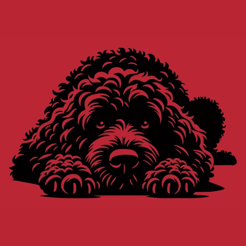 Spanischer Wasserhund