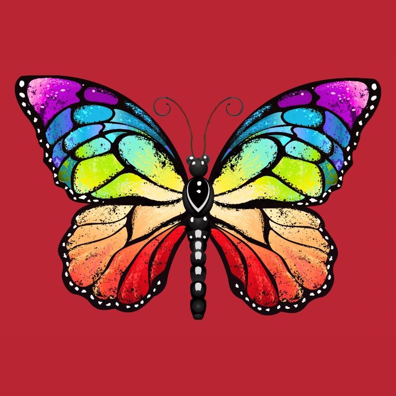 Rainbow pride butterfly