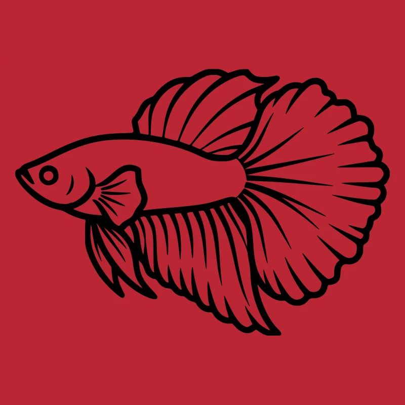 Kampffisch Betta Splendens Aquarium