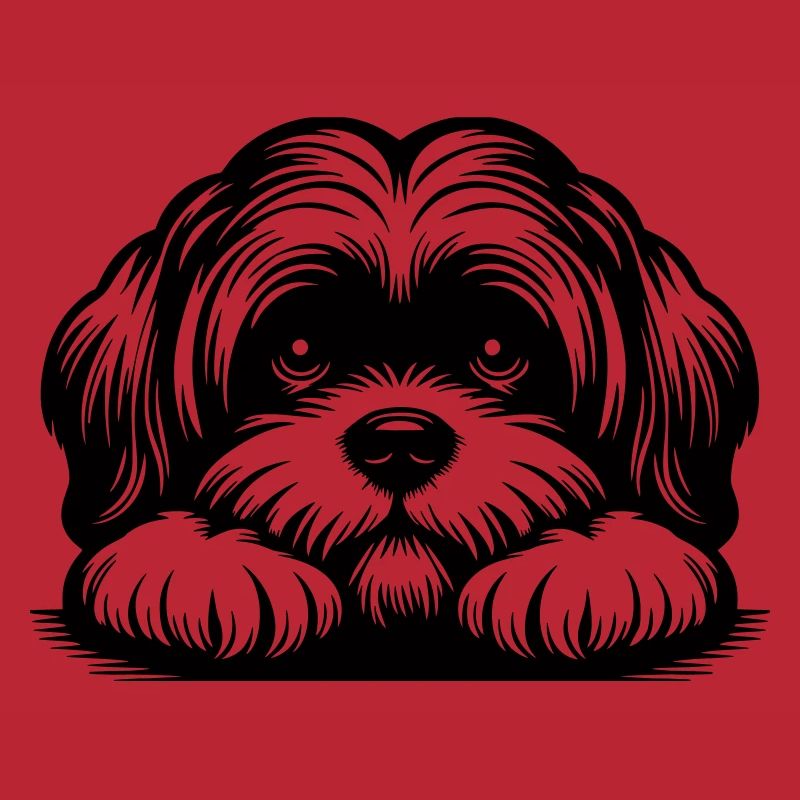 Tête de Lhassa Apso avec pattes