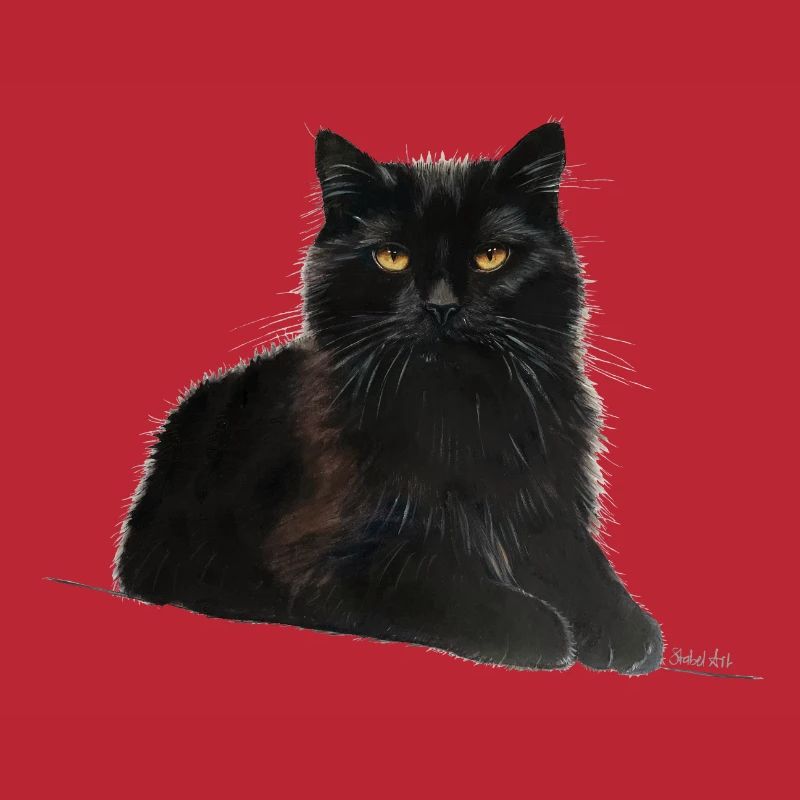 Katze
