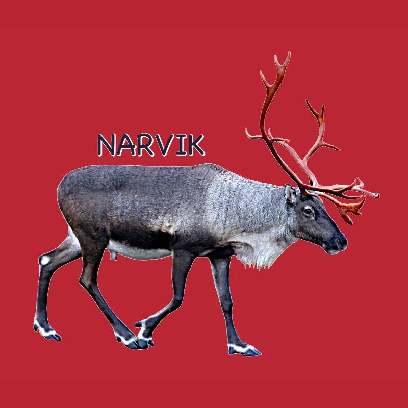 NARVIK