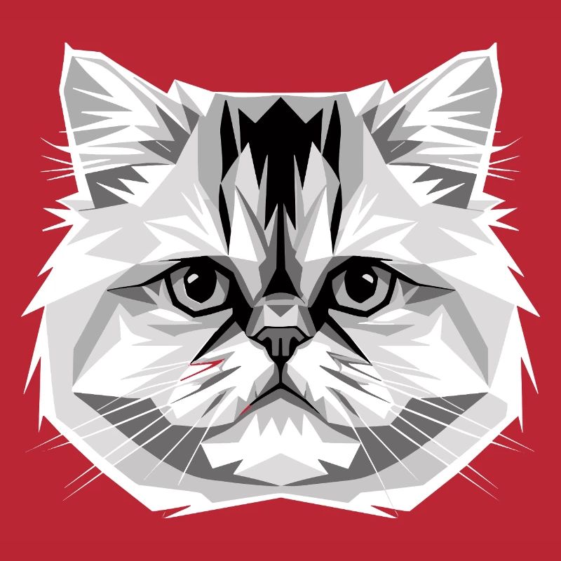 Chat perse Chat persan Chat persan Chat perse Chats mignons