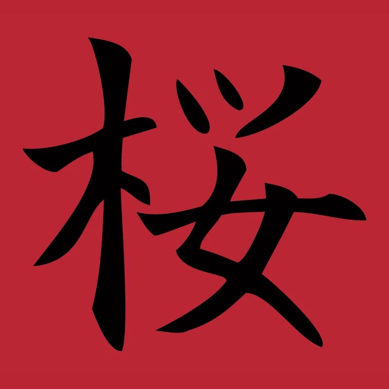 sakura / Kirschblüte