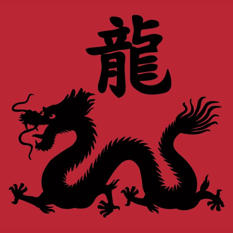 Dragon de caractère chinois avec image de dragon
