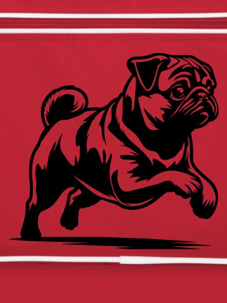 Pug
