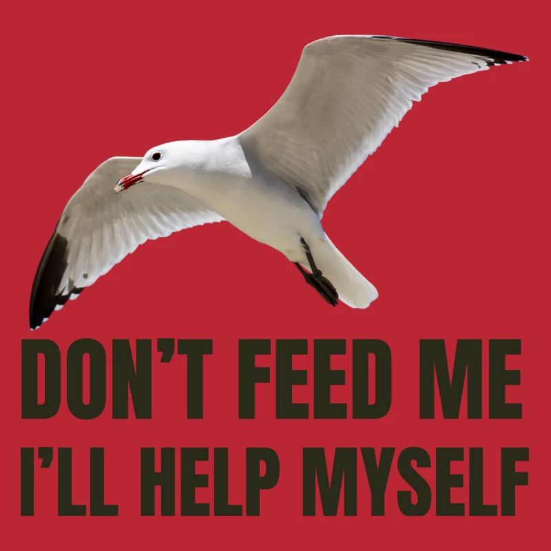 Seagull with Bold Statement