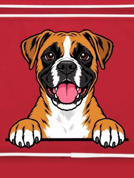 Boxer