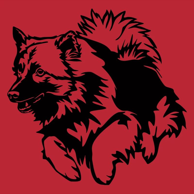 Wolfsspitz