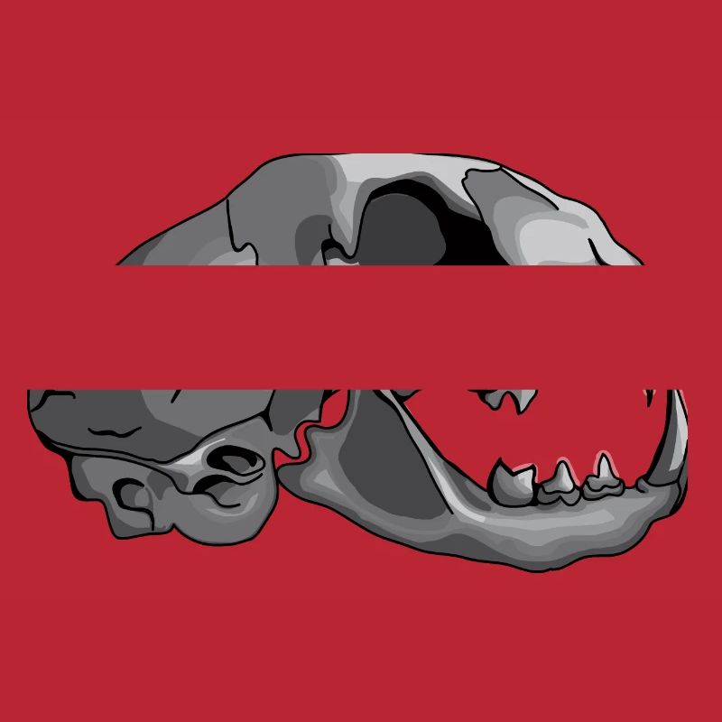 cat skull