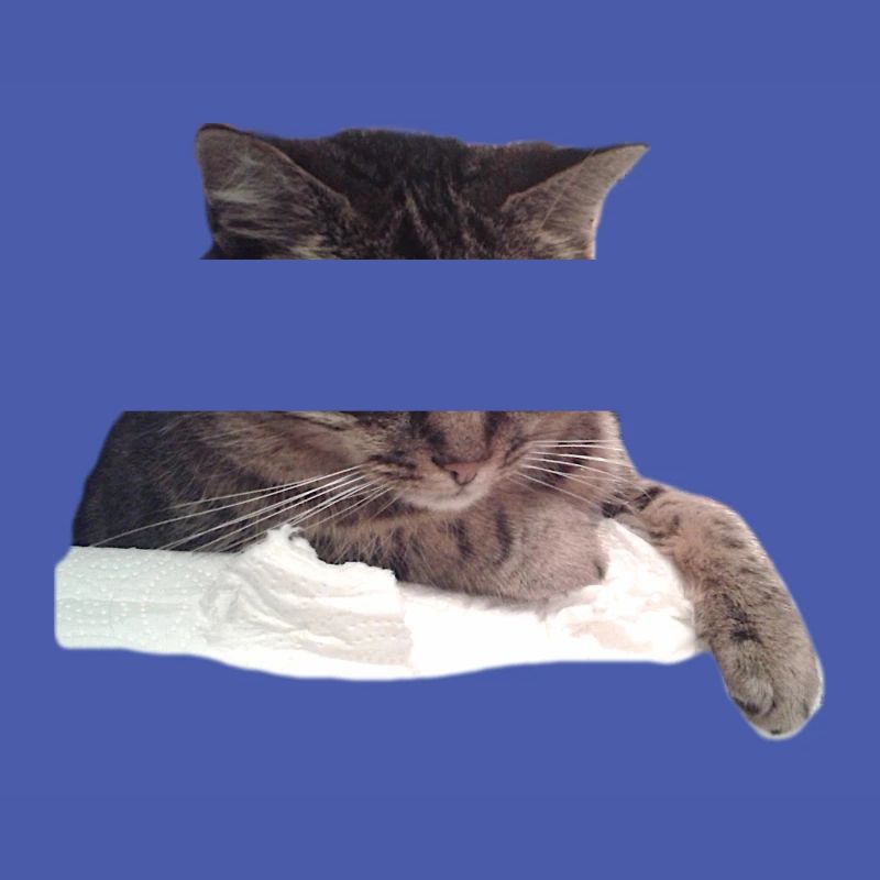chat