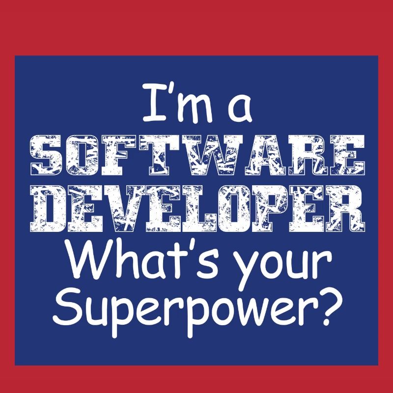 Software Developer