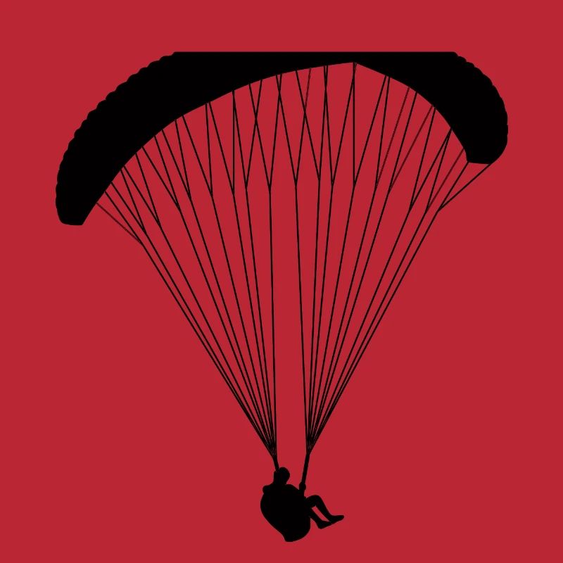 Paraglider