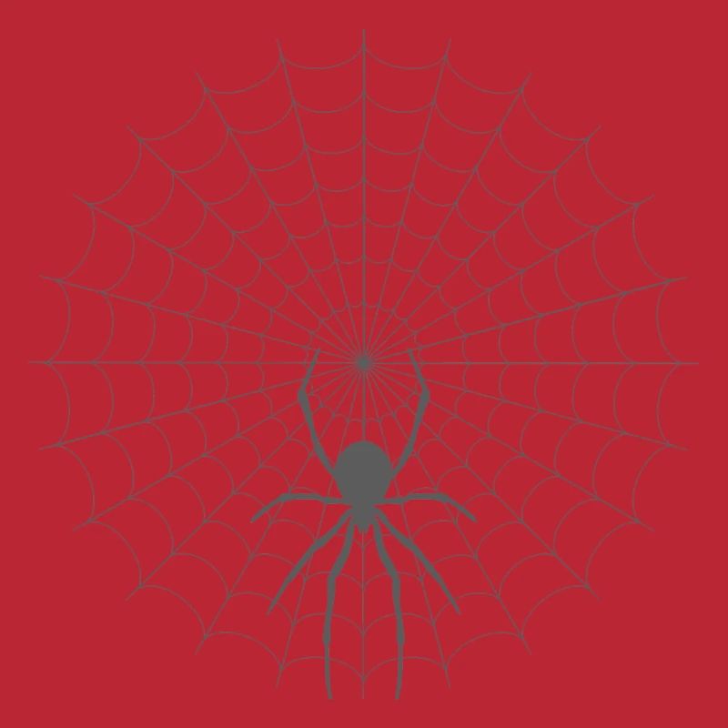Spider Web Silhouette