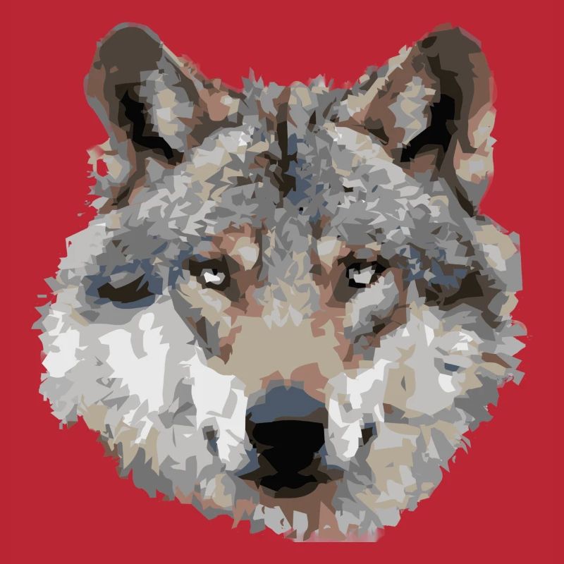 Wolf (grau)
