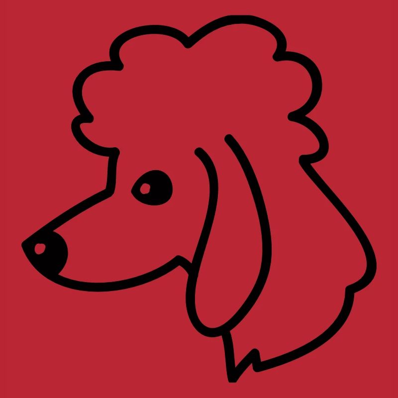 Portrait de caniche