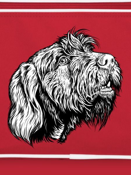 Pudelpointer redet mit