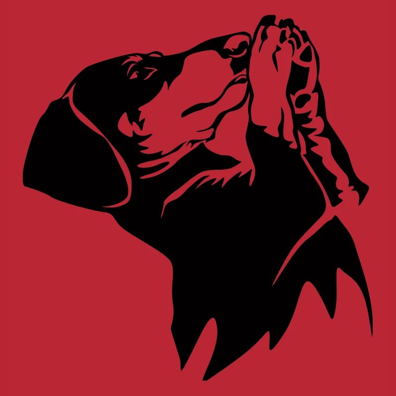 Dachshund