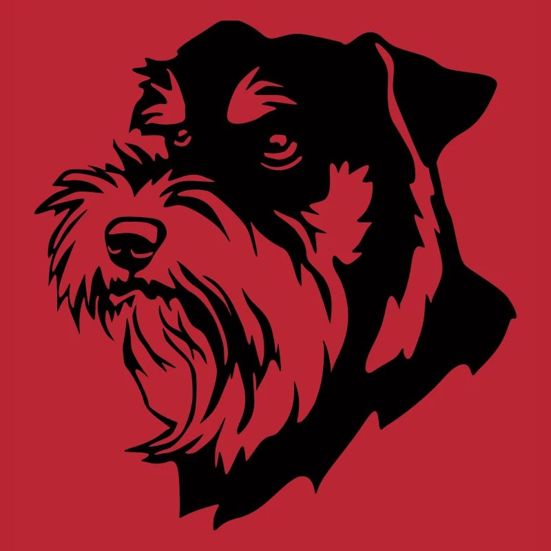 Tête Schnauzer