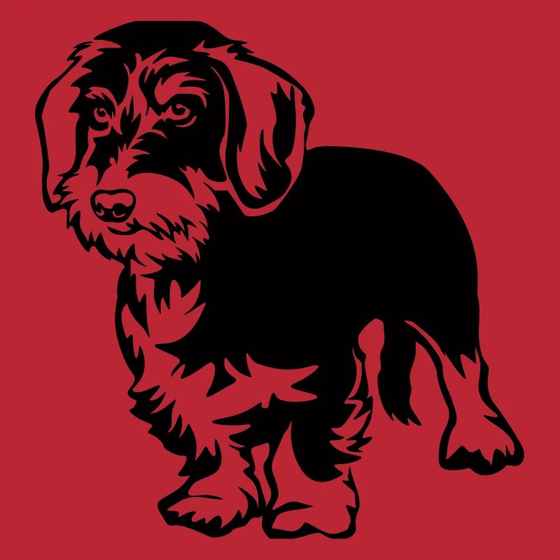 Dachshund