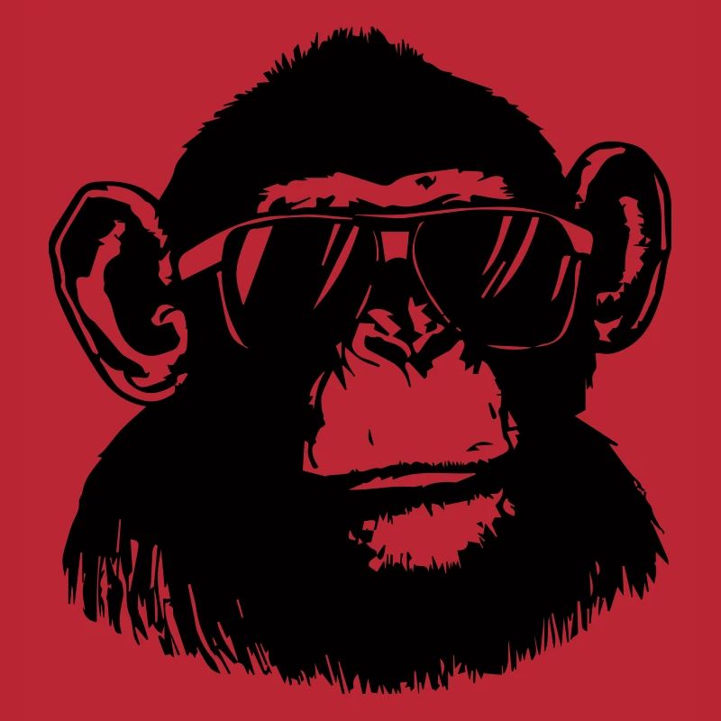 Cool Monkey