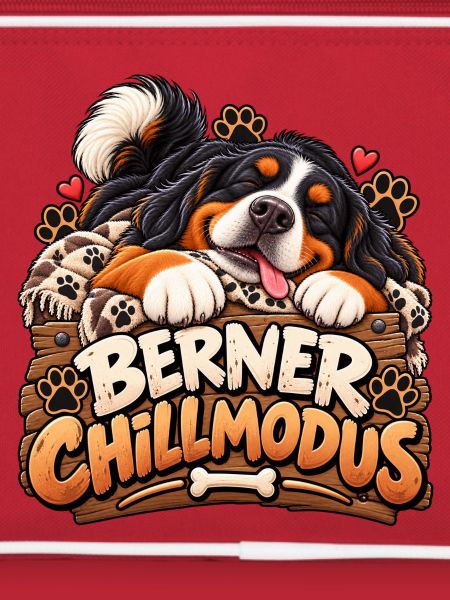 Bernermodus mit Herz