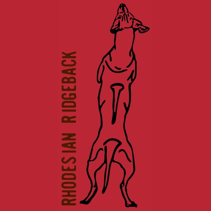 Rhodesian Ridgeback back