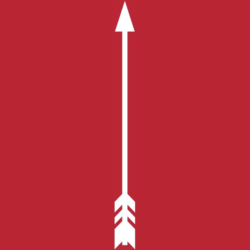 Arrow Vector