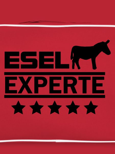 Esel Experte