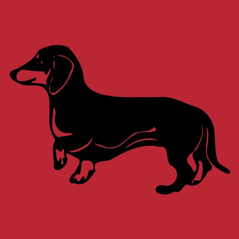 dackel hund