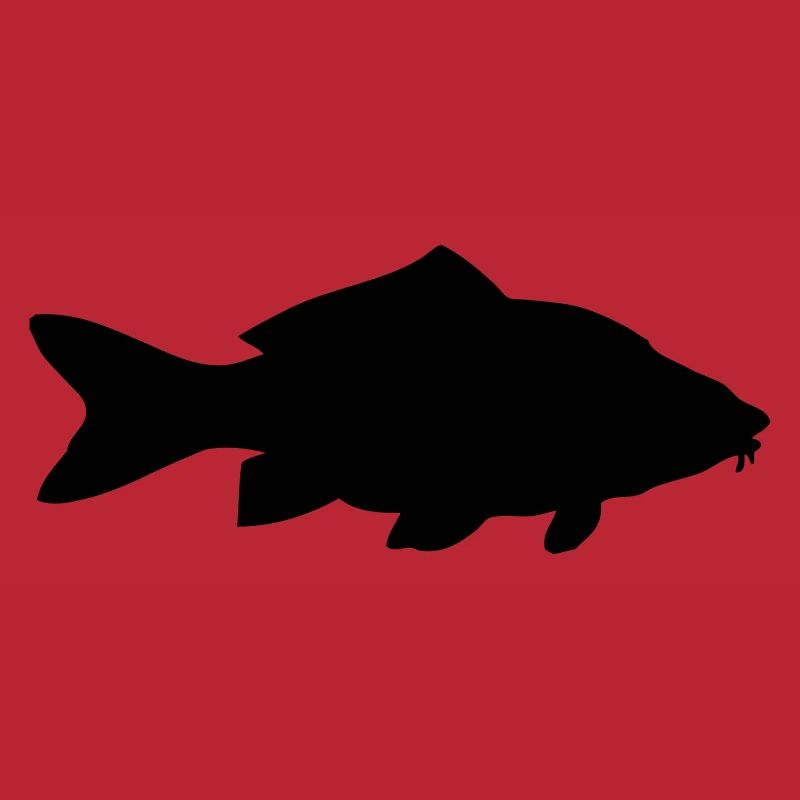 Karpfen - Fisch - Fish