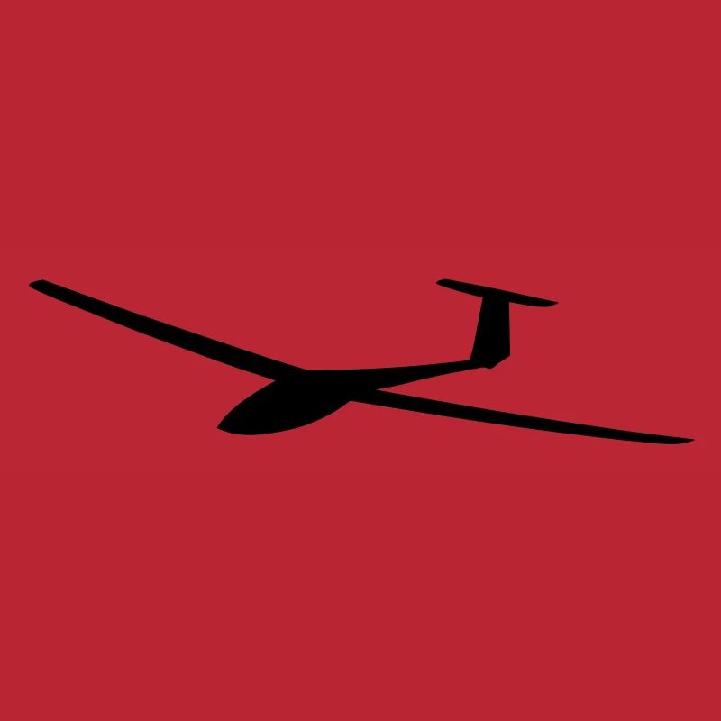 ASW 19