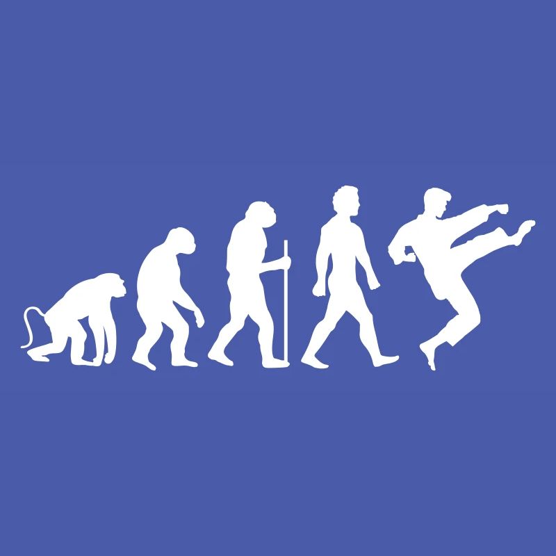 Karaté Évolution