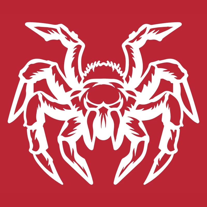 spinne