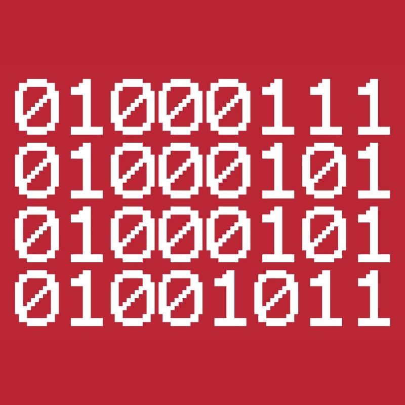 BINARY GEEK