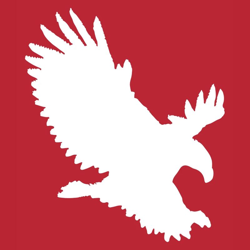 Eagle approaching