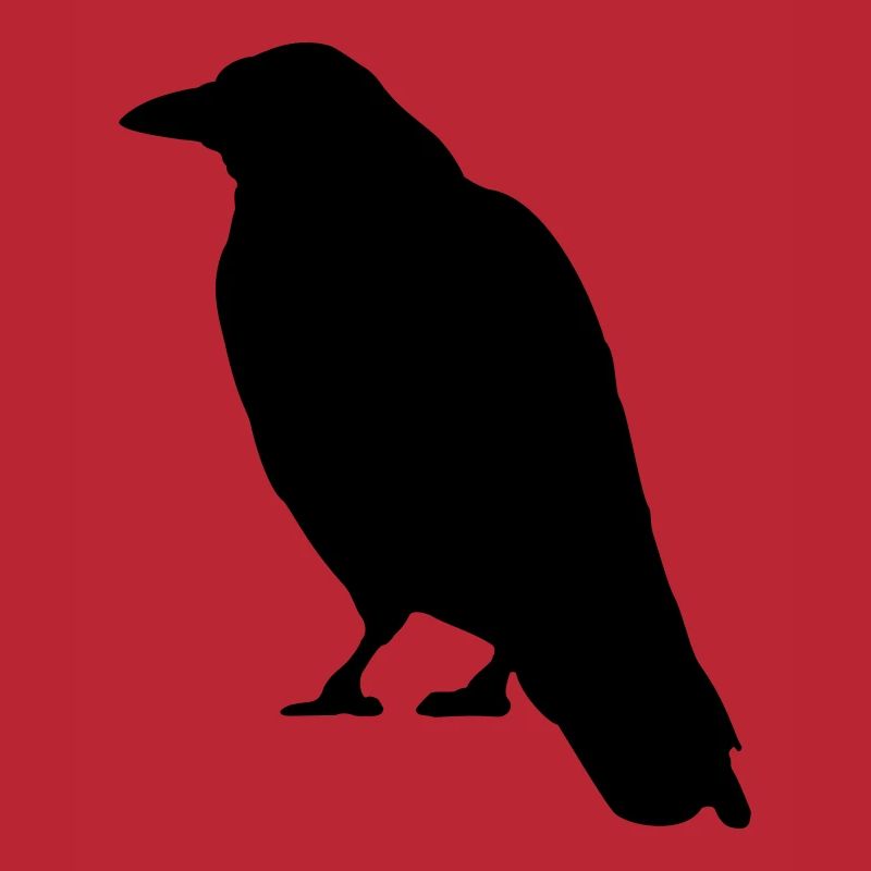 Black Crow bird