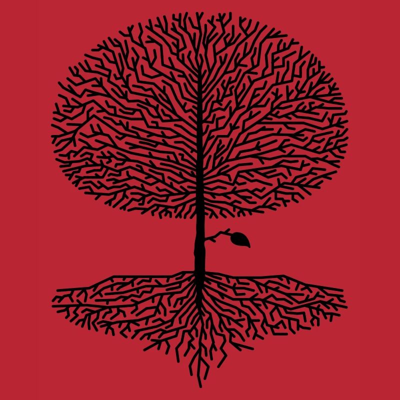 Laubbaum Krone Äste Wald Eichen Buchen Natur Klima