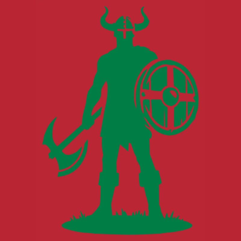 wikinger warrior