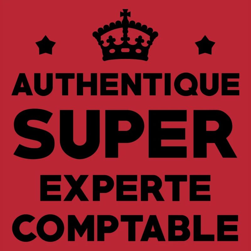 Expert Comptable / Comptabilité / Comptable /