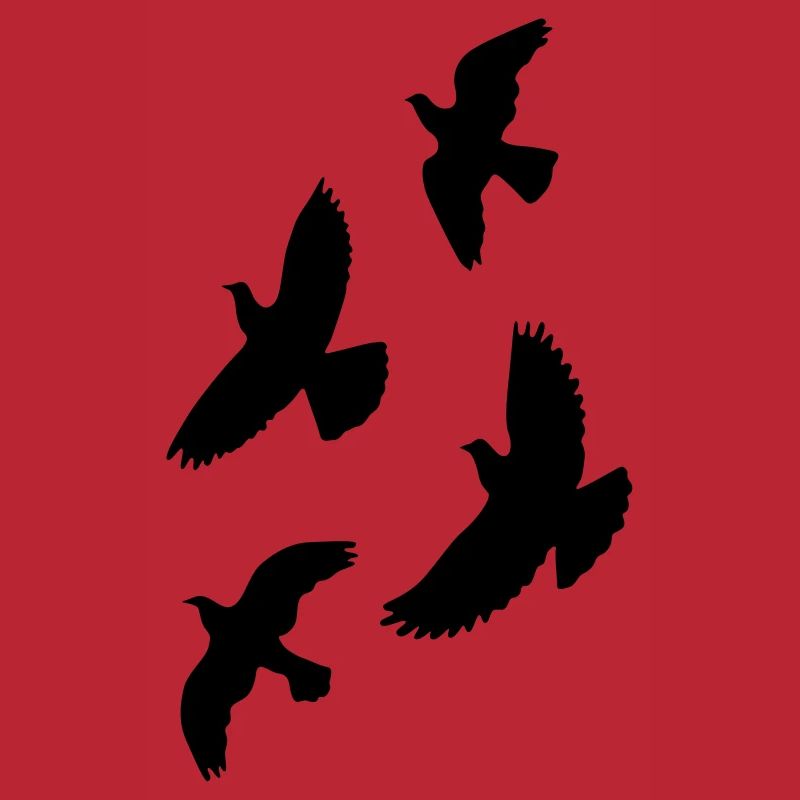 oiseaux